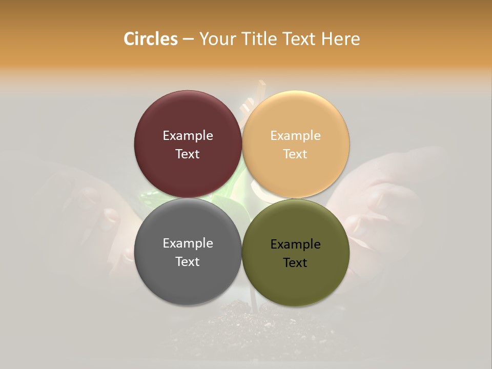 Money Currency Metaphor PowerPoint Template