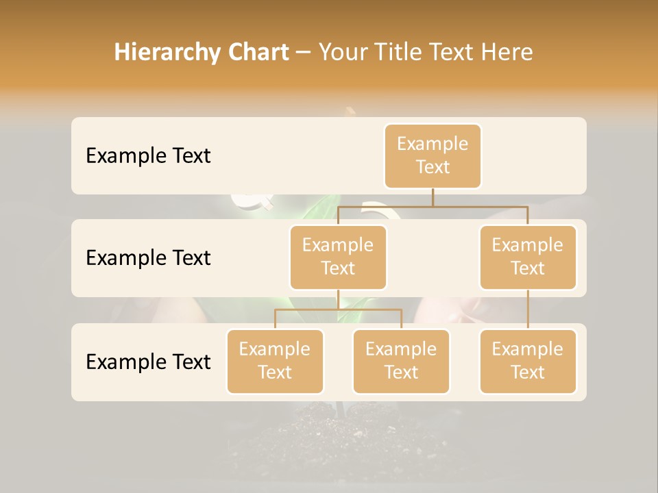Money Currency Metaphor PowerPoint Template