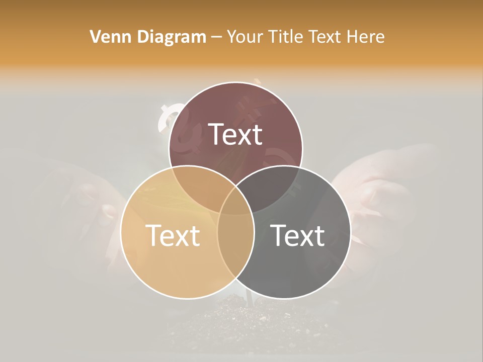 Money Currency Metaphor PowerPoint Template