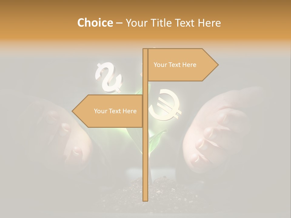 Money Currency Metaphor PowerPoint Template