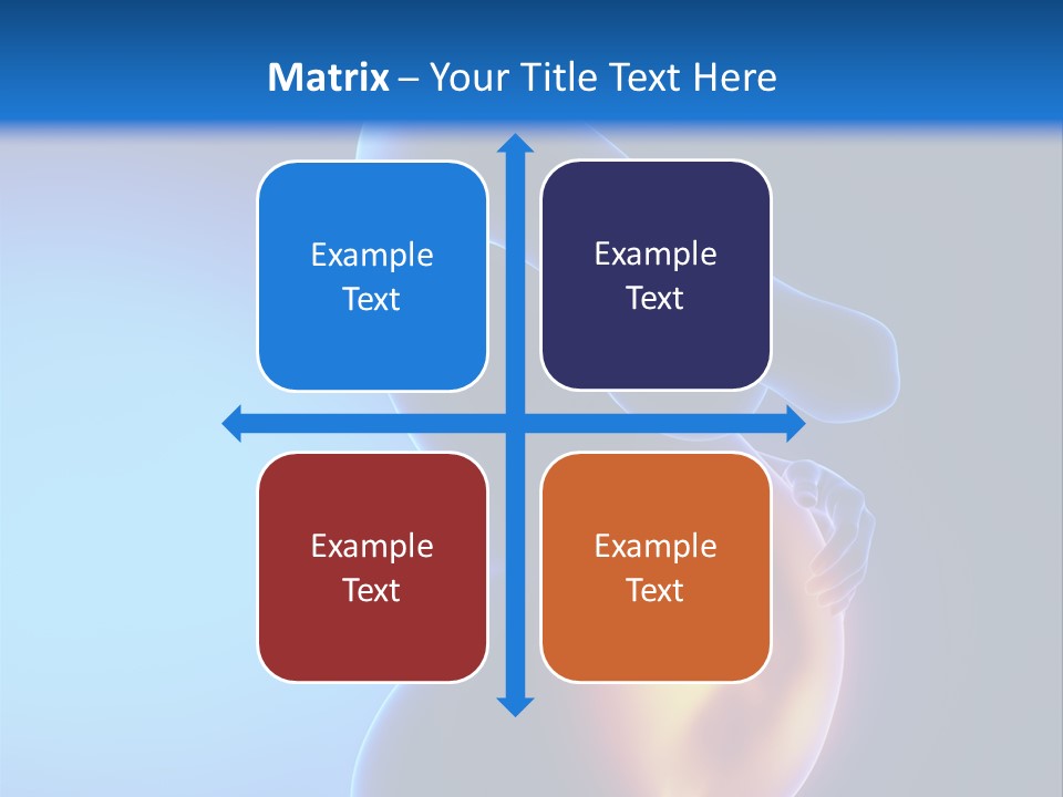 Breast Nipple Anatomy PowerPoint Template