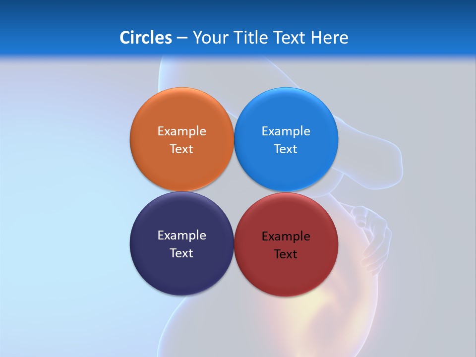 Breast Nipple Anatomy PowerPoint Template