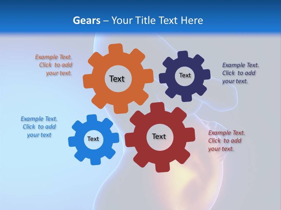 Breast Nipple Anatomy PowerPoint Template
