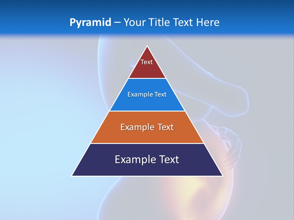 Breast Nipple Anatomy PowerPoint Template