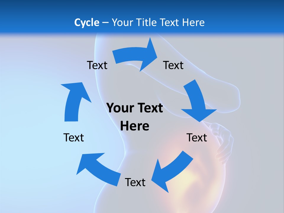 Breast Nipple Anatomy PowerPoint Template