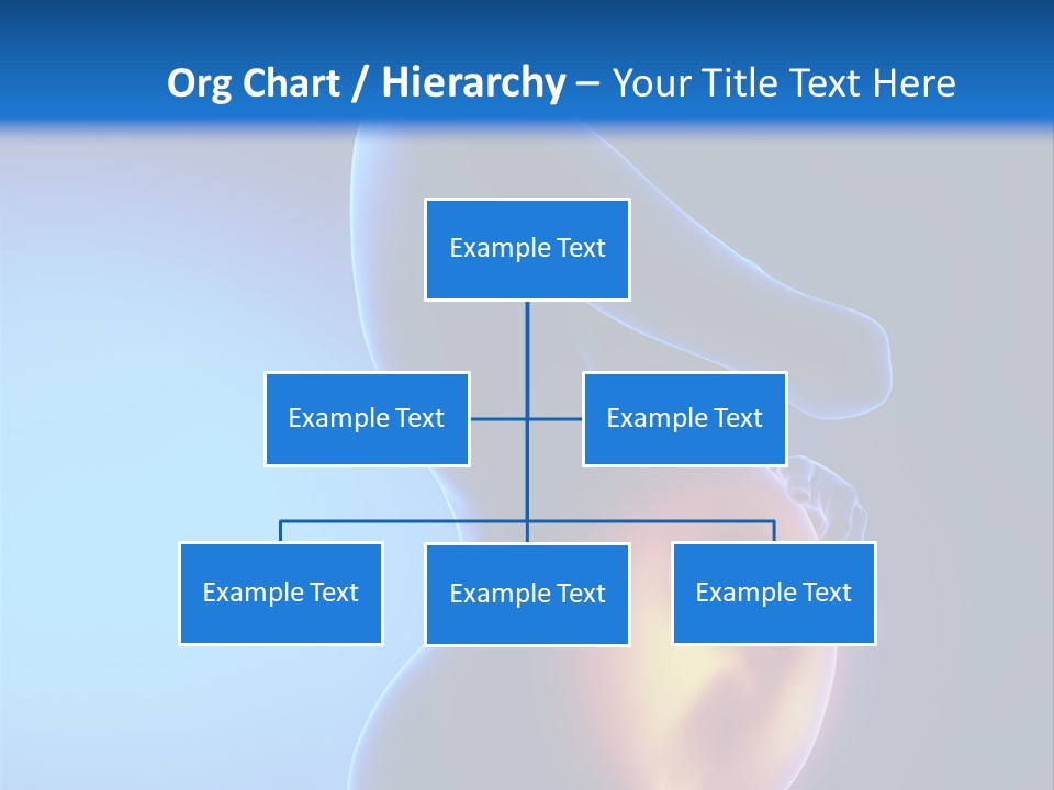 Breast Nipple Anatomy PowerPoint Template