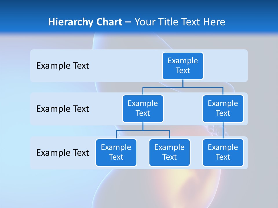 Breast Nipple Anatomy PowerPoint Template