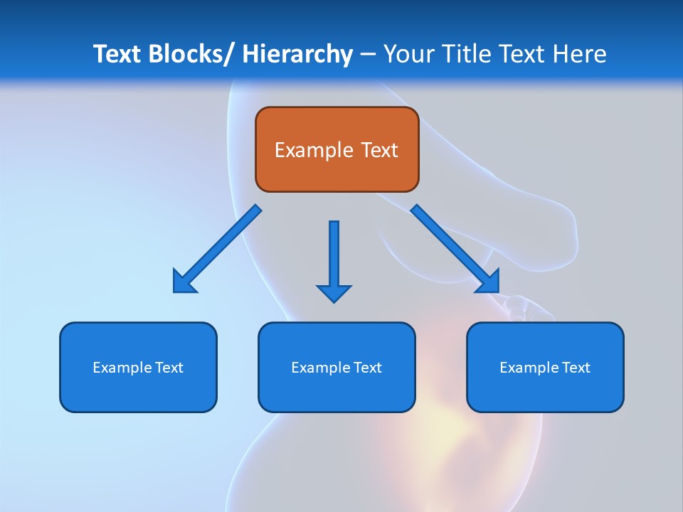 Breast Nipple Anatomy PowerPoint Template