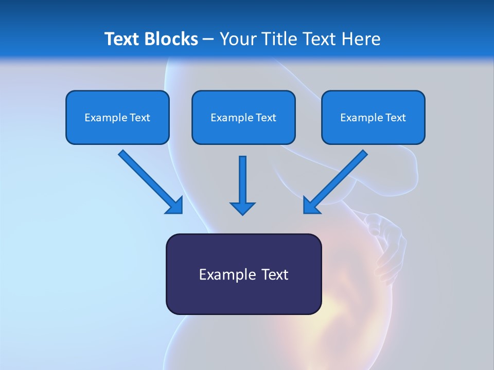 Breast Nipple Anatomy PowerPoint Template
