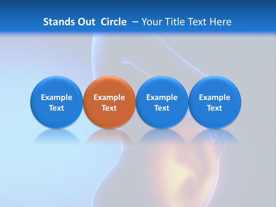 Breast Nipple Anatomy PowerPoint Template