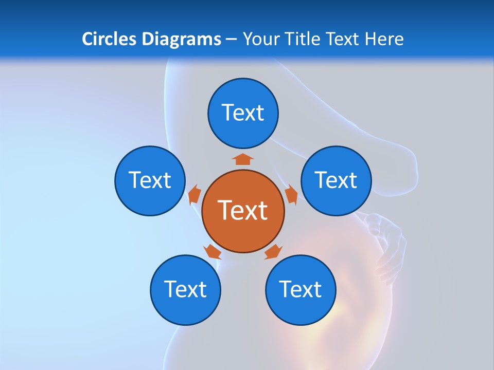 Breast Nipple Anatomy PowerPoint Template