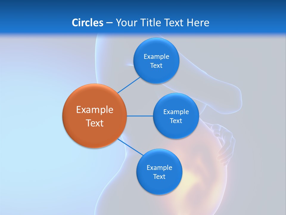 Breast Nipple Anatomy PowerPoint Template