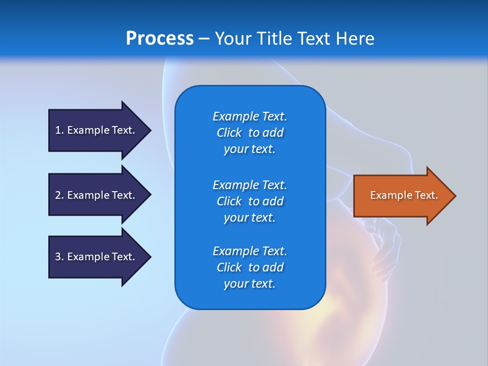Breast Nipple Anatomy PowerPoint Template