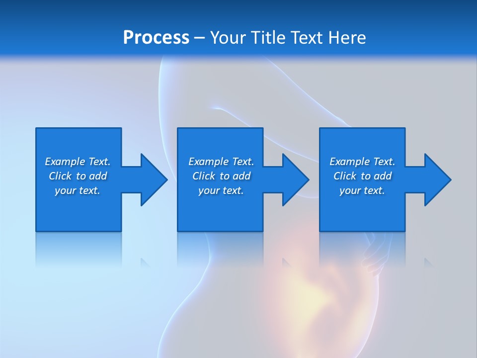 Breast Nipple Anatomy PowerPoint Template