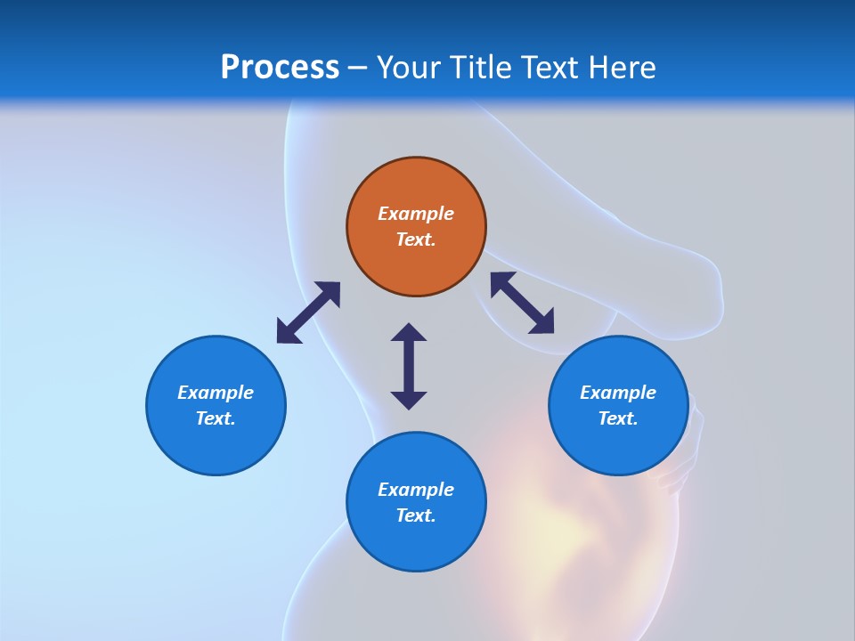 Breast Nipple Anatomy PowerPoint Template
