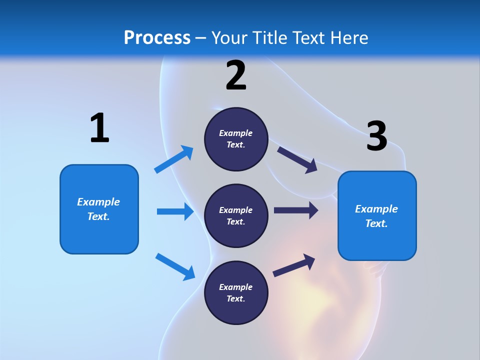 Breast Nipple Anatomy PowerPoint Template