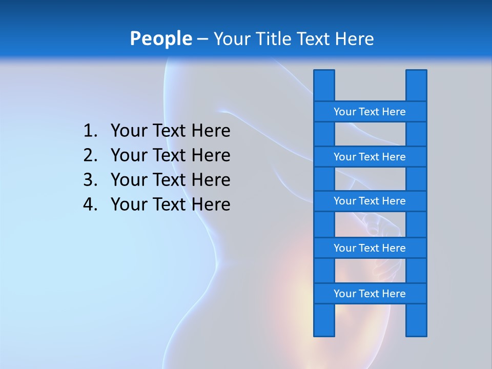 Breast Nipple Anatomy PowerPoint Template