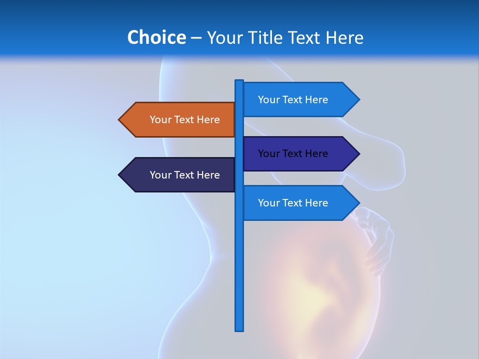 Breast Nipple Anatomy PowerPoint Template