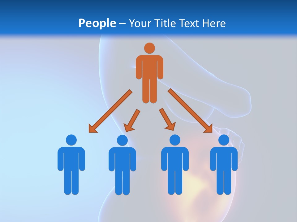 Breast Nipple Anatomy PowerPoint Template