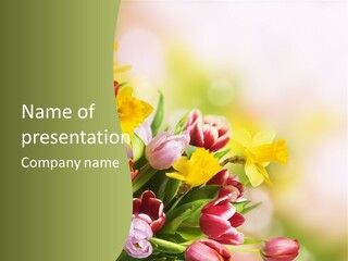 Plant Photography Studio Shot PowerPoint Template