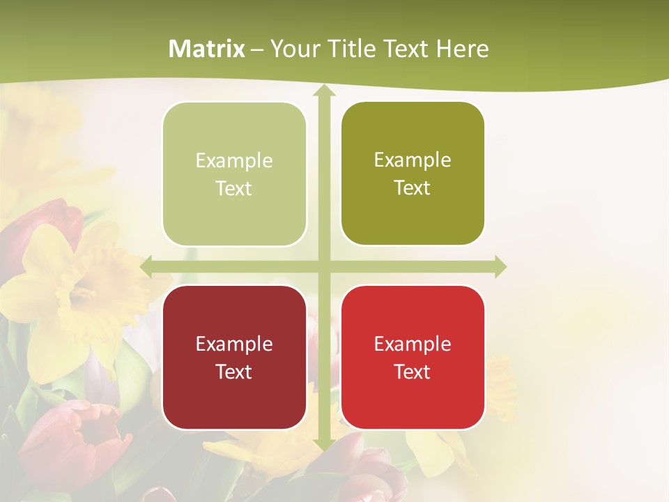 Plant Photography Studio Shot PowerPoint Template