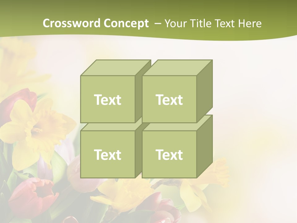 Plant Photography Studio Shot PowerPoint Template