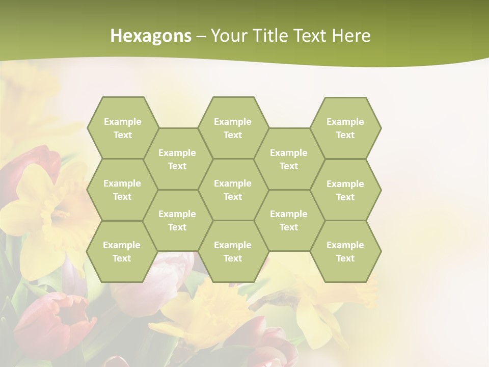 Plant Photography Studio Shot PowerPoint Template