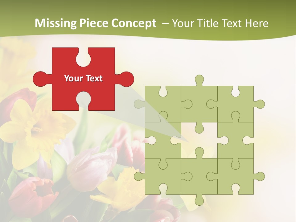 Plant Photography Studio Shot PowerPoint Template