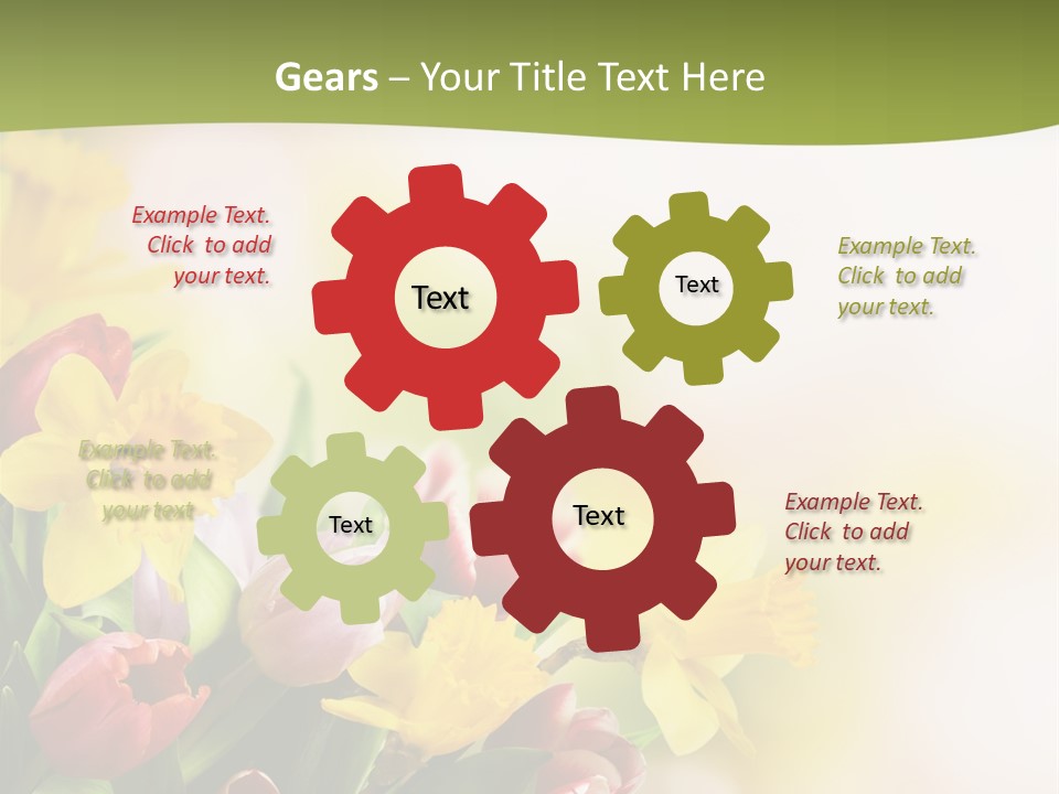 Plant Photography Studio Shot PowerPoint Template