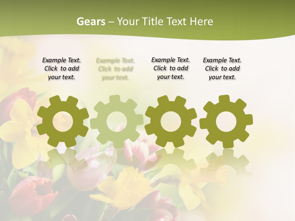 Plant Photography Studio Shot PowerPoint Template