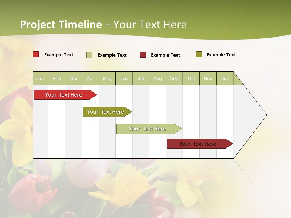 Plant Photography Studio Shot PowerPoint Template