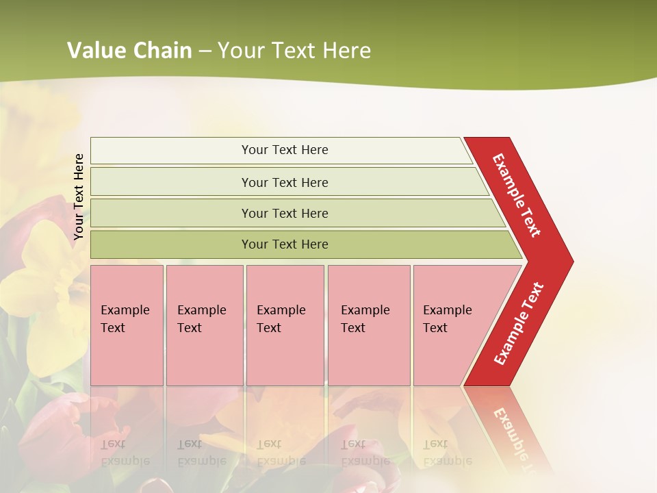Plant Photography Studio Shot PowerPoint Template