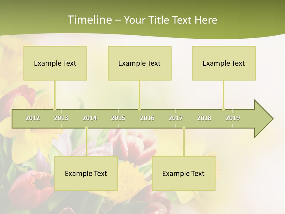 Plant Photography Studio Shot PowerPoint Template