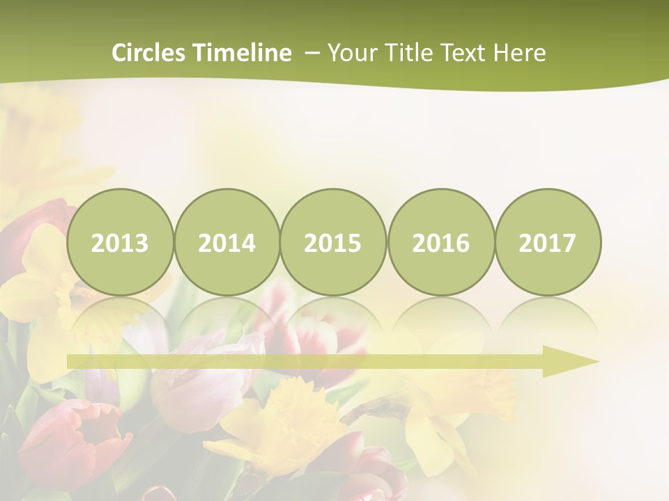 Plant Photography Studio Shot PowerPoint Template