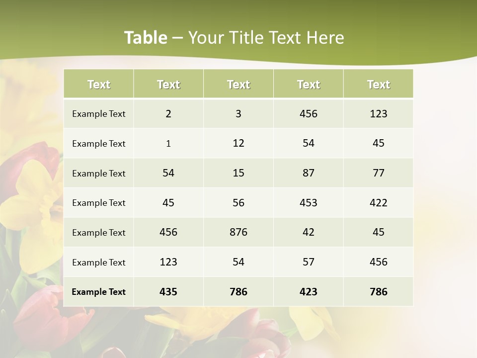 Plant Photography Studio Shot PowerPoint Template