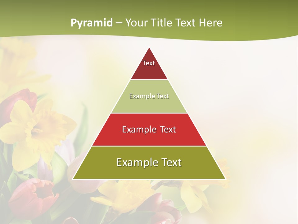 Plant Photography Studio Shot PowerPoint Template