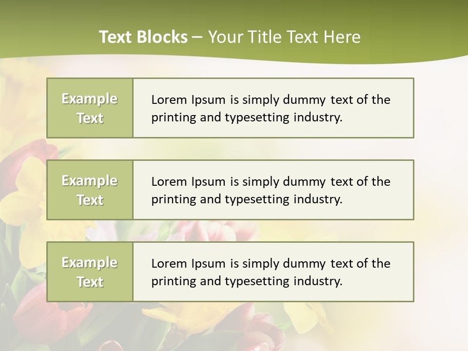 Plant Photography Studio Shot PowerPoint Template