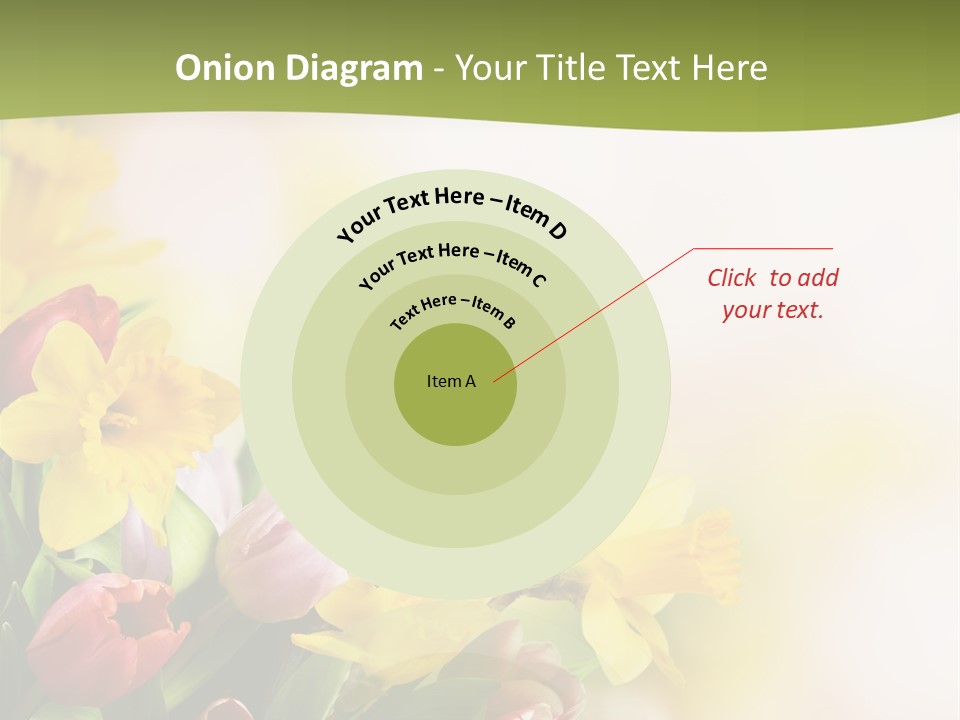 Plant Photography Studio Shot PowerPoint Template