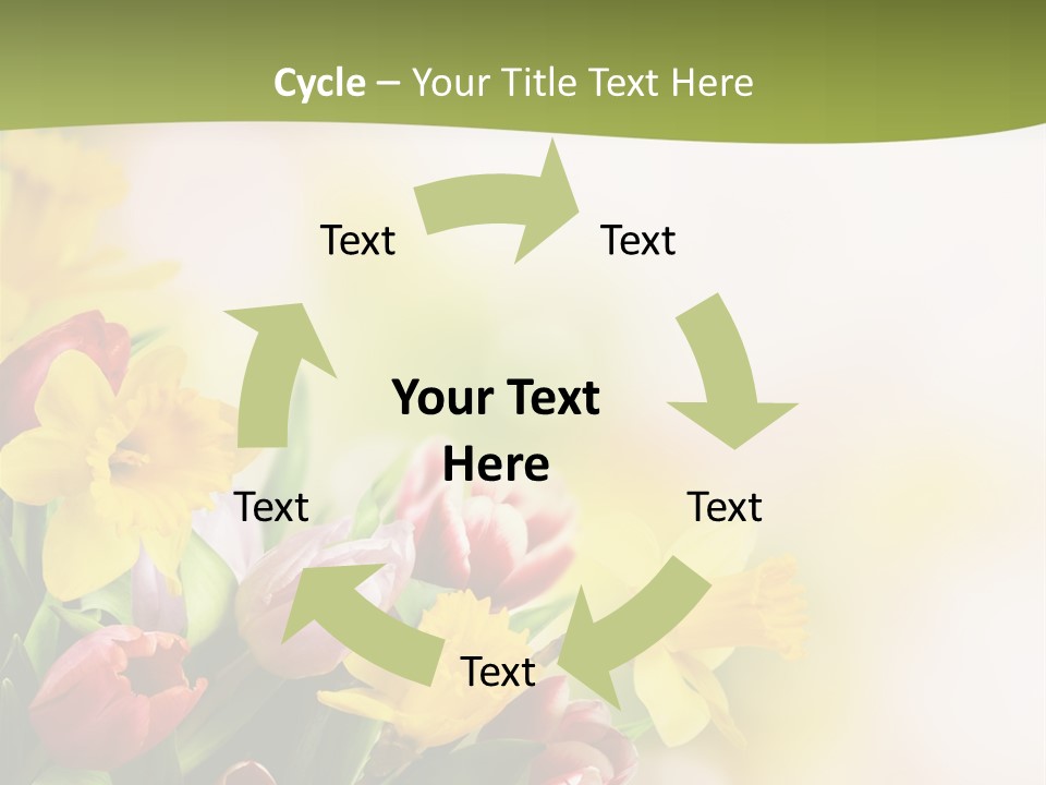 Plant Photography Studio Shot PowerPoint Template