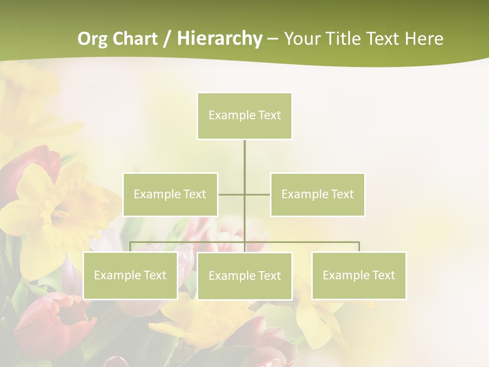 Plant Photography Studio Shot PowerPoint Template