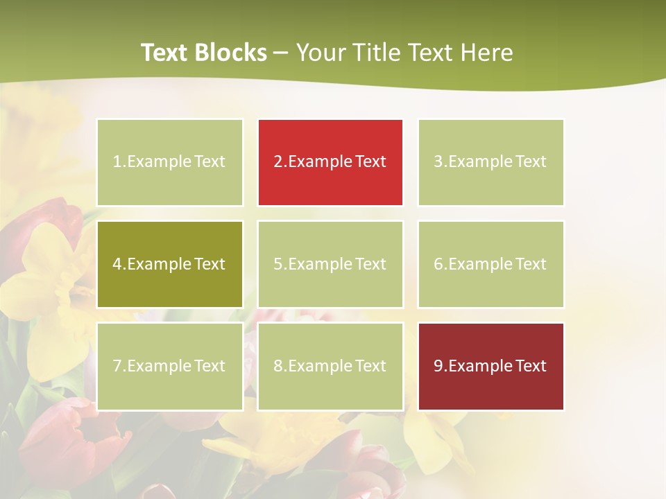 Plant Photography Studio Shot PowerPoint Template