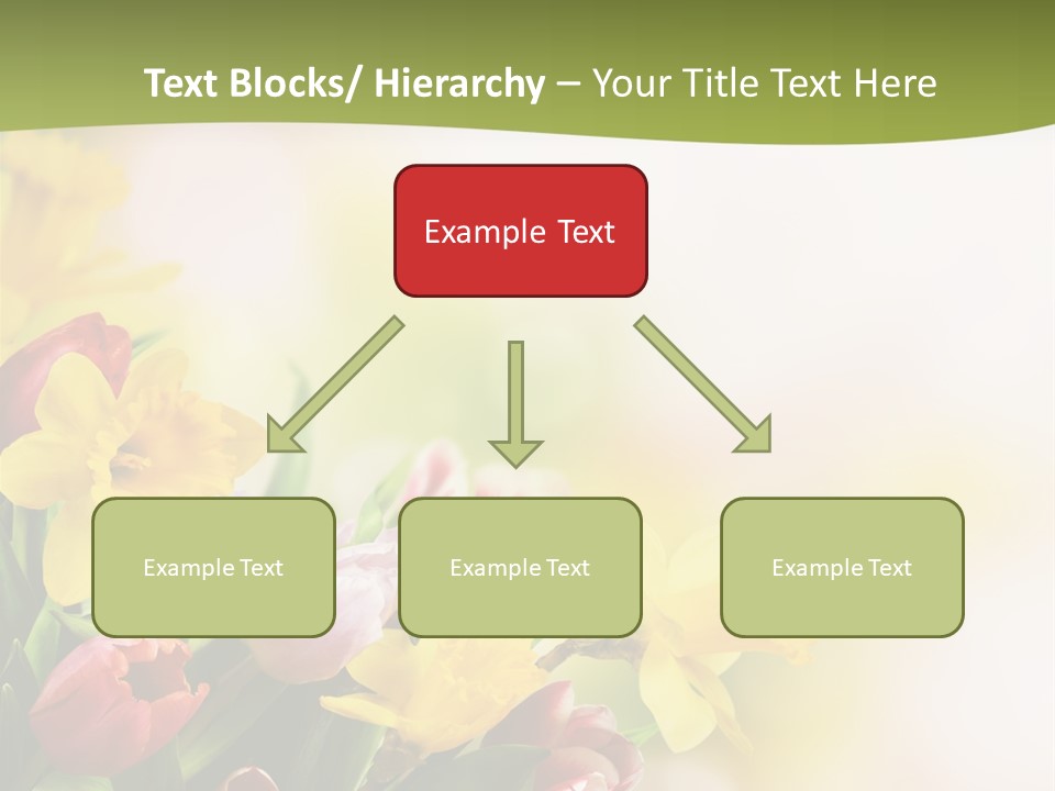 Plant Photography Studio Shot PowerPoint Template