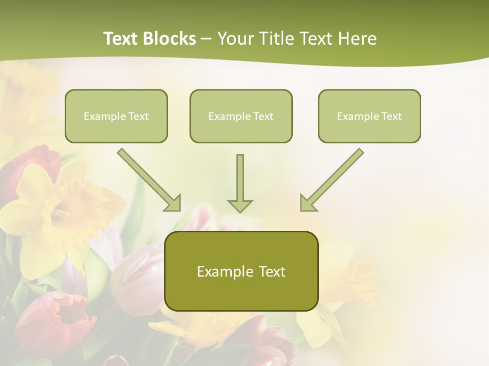 Plant Photography Studio Shot PowerPoint Template