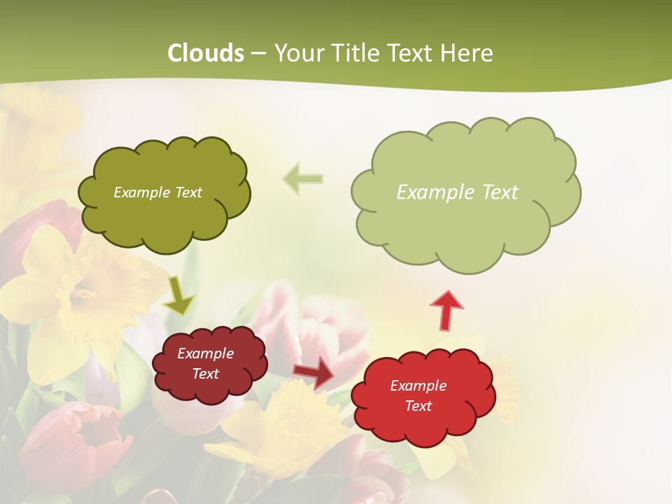 Plant Photography Studio Shot PowerPoint Template