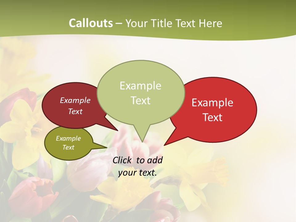 Plant Photography Studio Shot PowerPoint Template