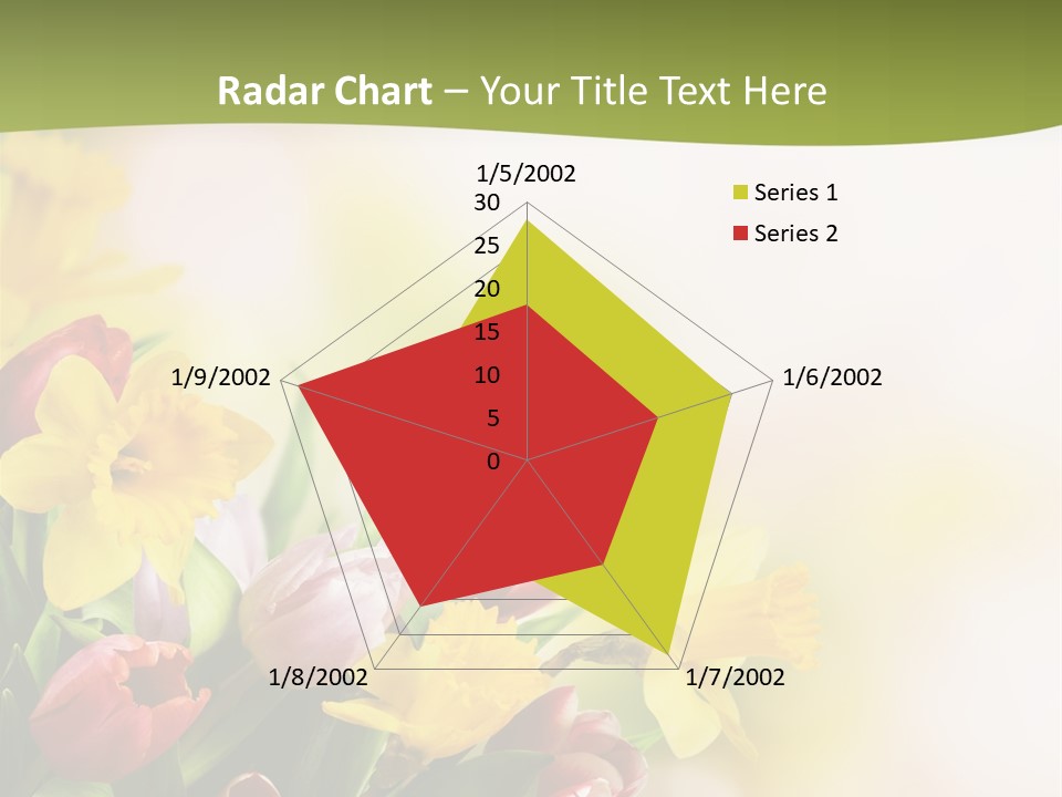 Plant Photography Studio Shot PowerPoint Template