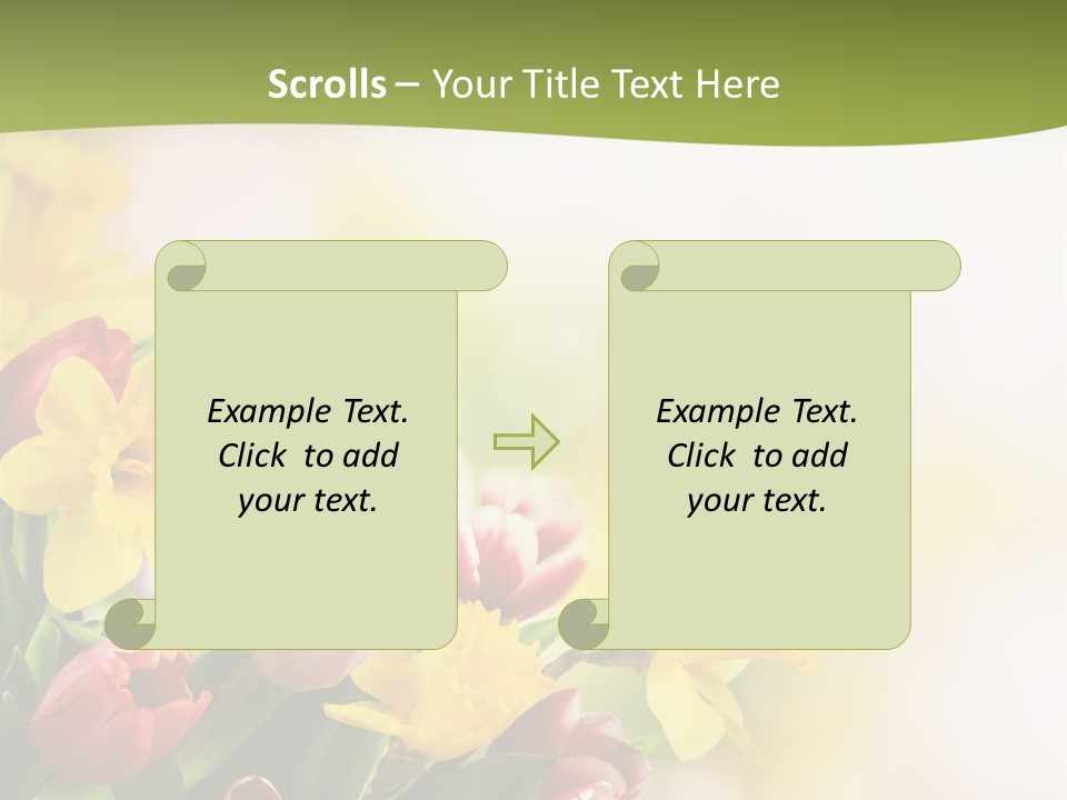 Plant Photography Studio Shot PowerPoint Template