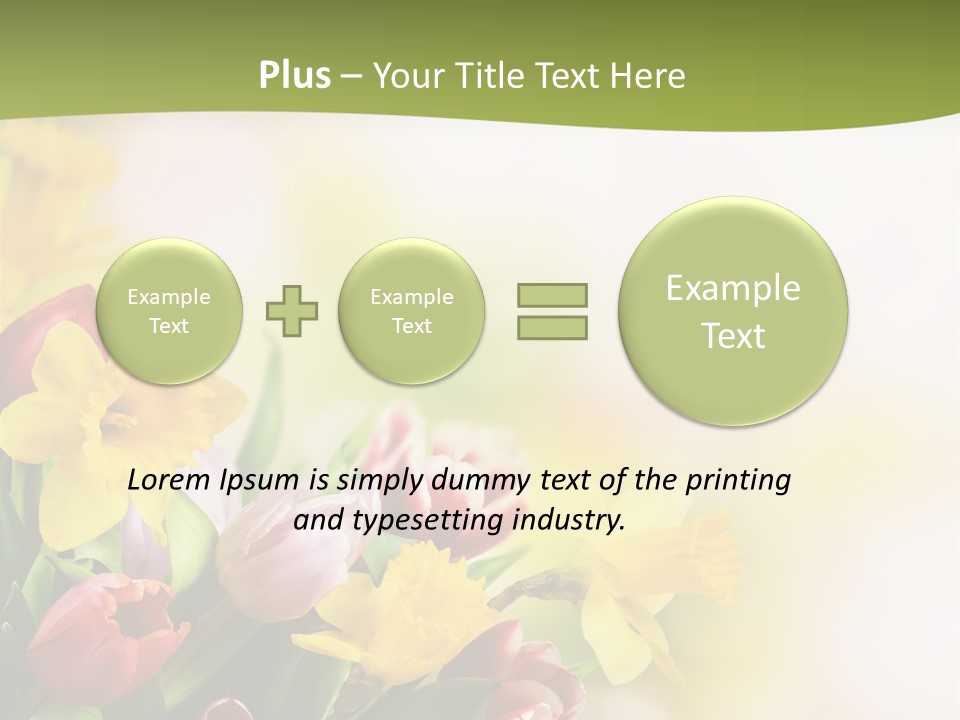 Plant Photography Studio Shot PowerPoint Template