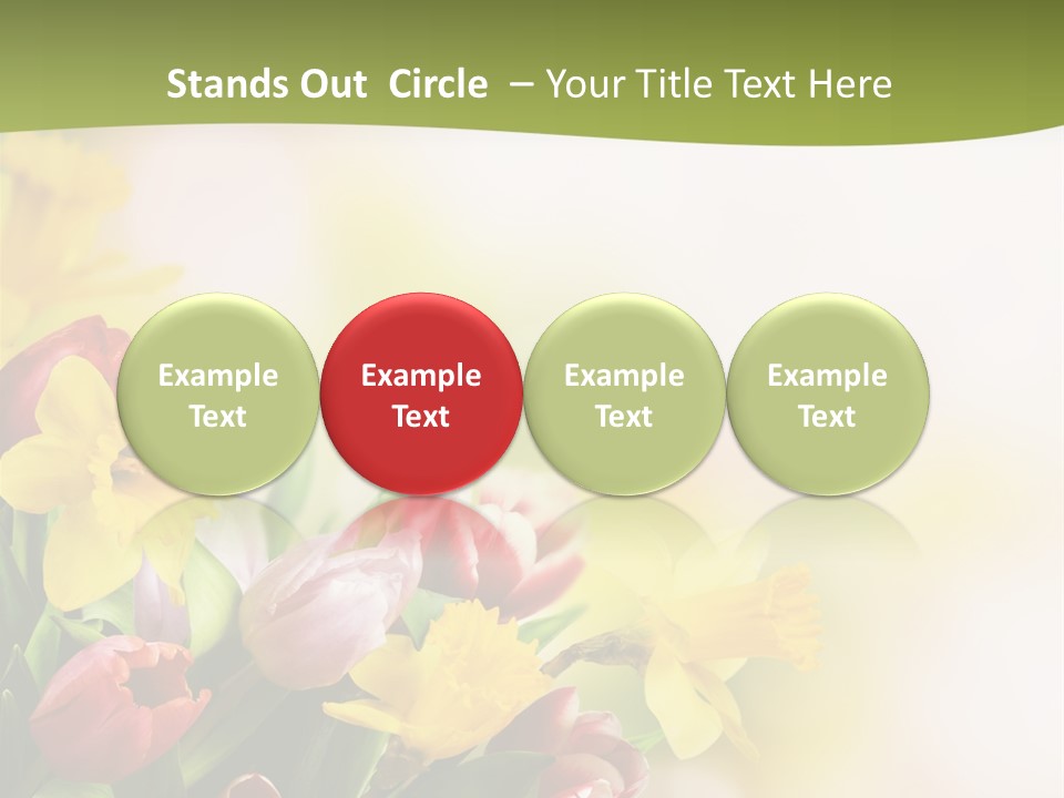Plant Photography Studio Shot PowerPoint Template