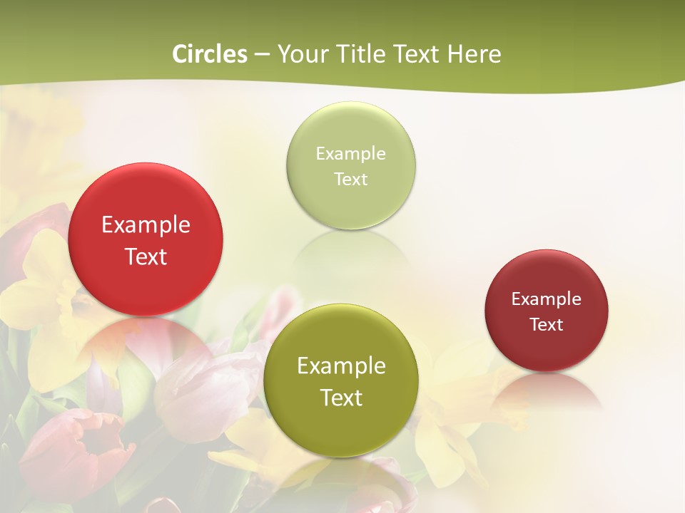 Plant Photography Studio Shot PowerPoint Template